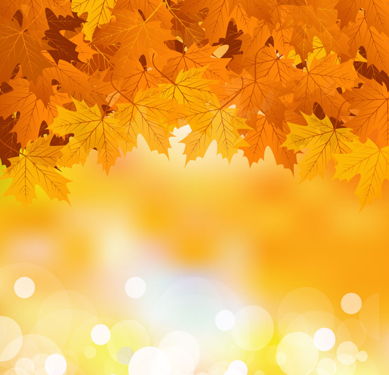 Free Vector Fall Leaves