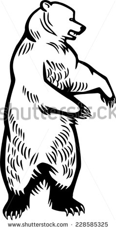 Grizzly Bear Standing Up Drawing
