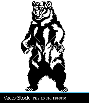 Grizzly Bear Standing Vector