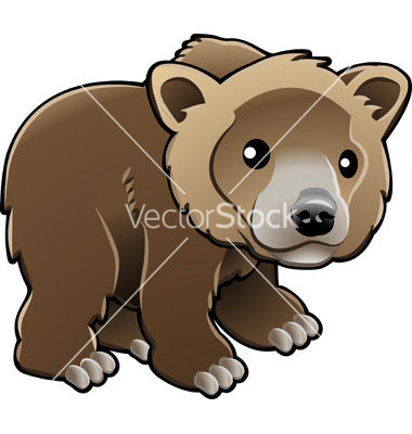 Grizzly Bear Vector