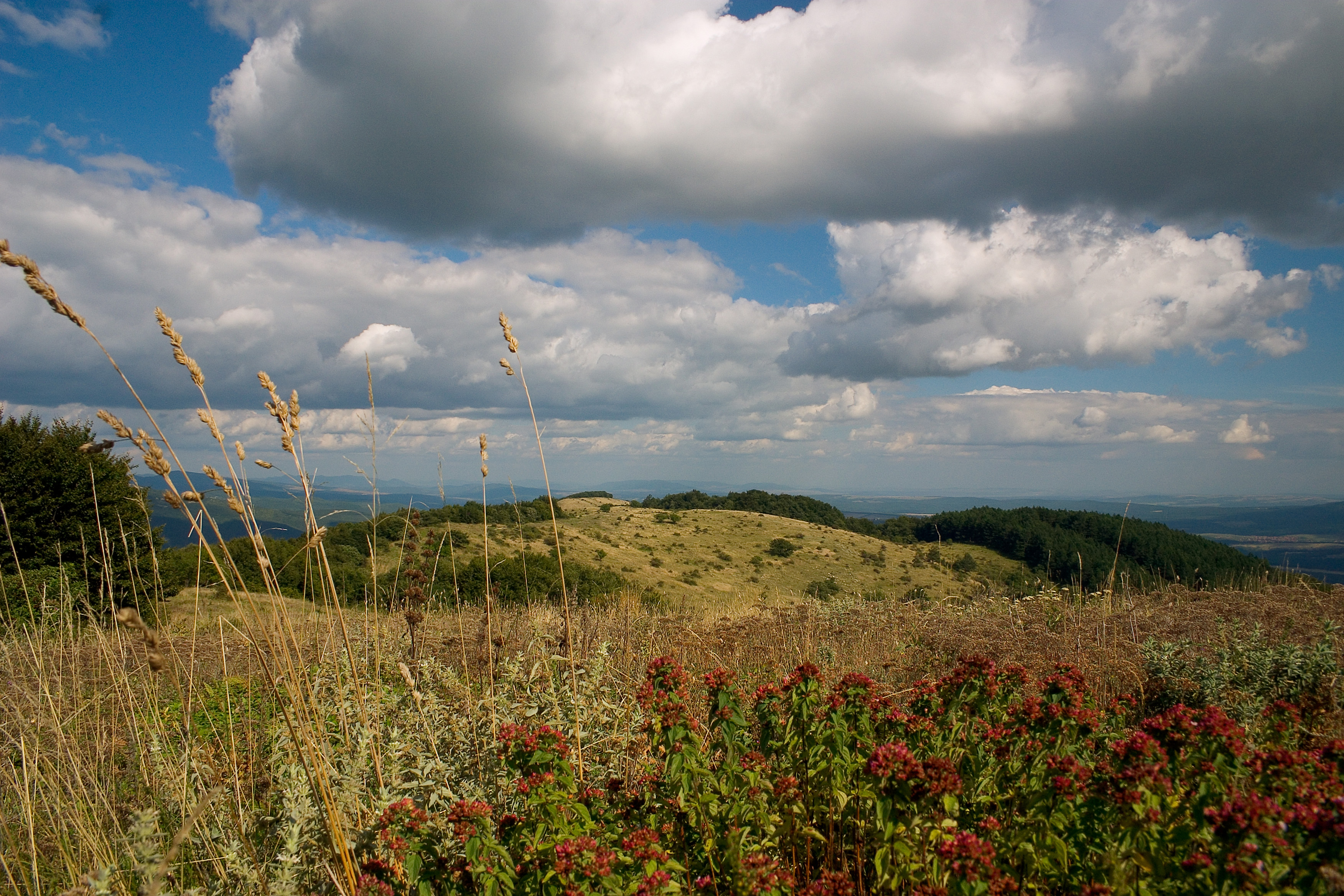 High Resolution Landscape Photography