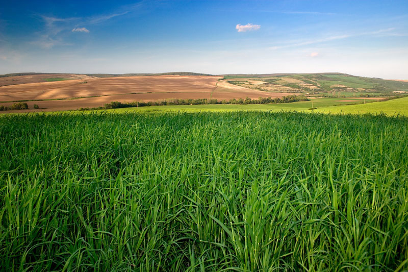 High Resolution Landscape Photography