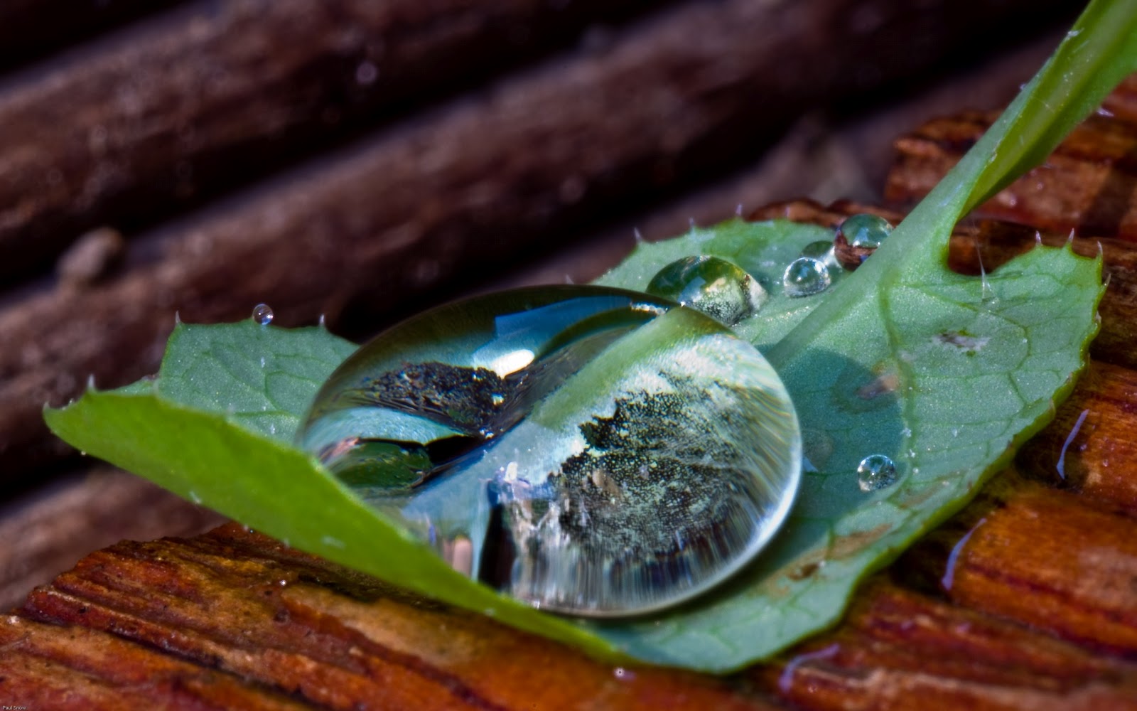 Imagenes Gotas De Agua