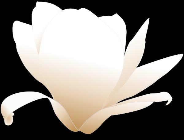 Magnolia Flower Clip Art Free
