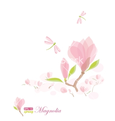 Magnolia Vector Free