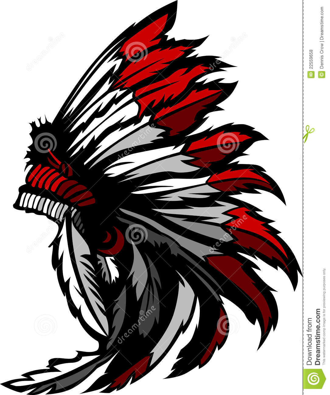 Native American Indian Feathers