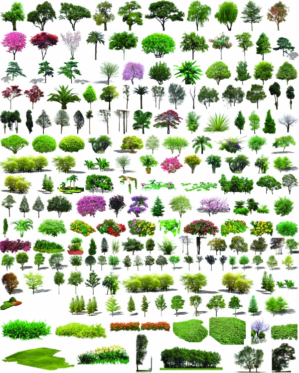 Photoshop Plants and Shrubs