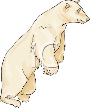 Polar Bear Standing Up Clip Art