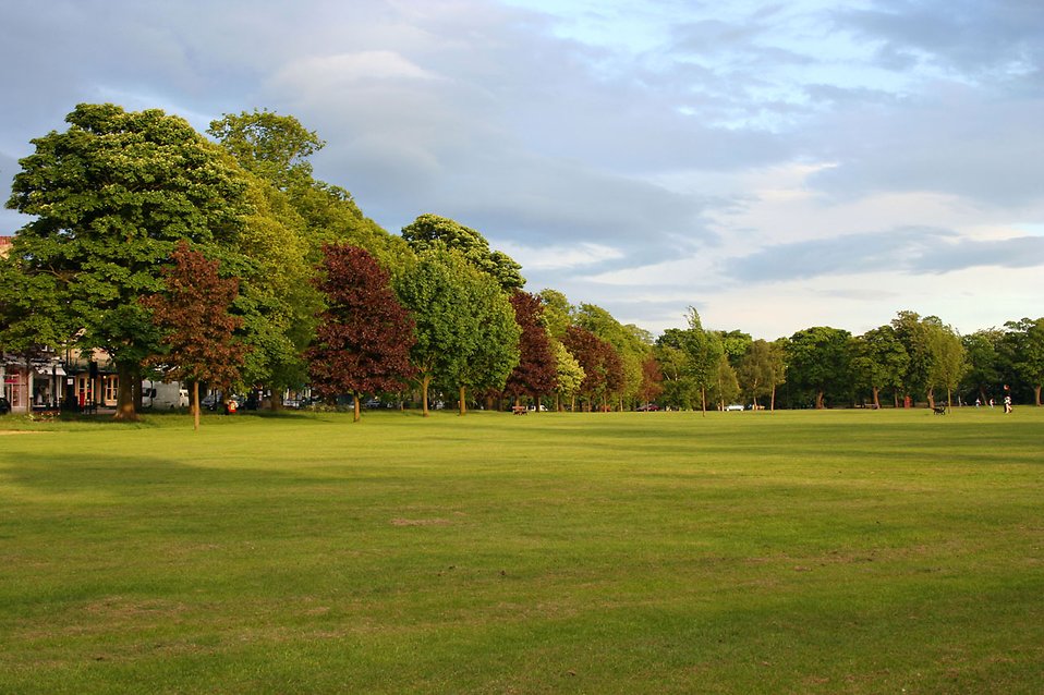 Public Landscape Park