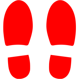 Shoe Footprint Icon