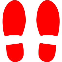 Shoe Footprint Icon