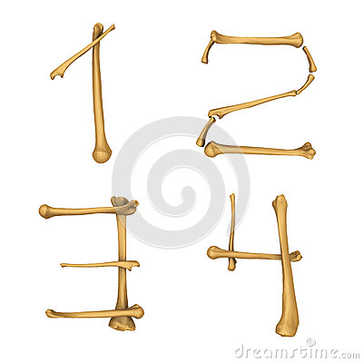 Skeleton Bone Shaped Alphabet Letters Skeleton Bone Shaped Alphabet Letters