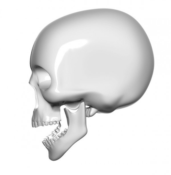 Skull Side View Icon Skull Side View Icon