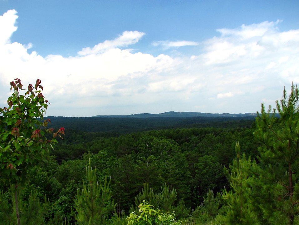 Stock & Hill Landscapes