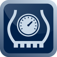 Tire Pressure Monitoring System Icon