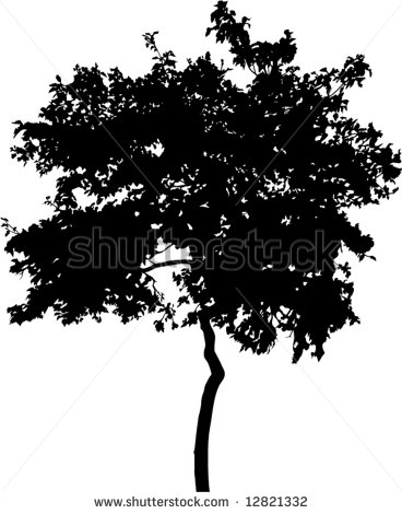 Tree Silhouette Photography