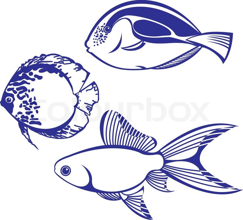 Tropical Fish Vector