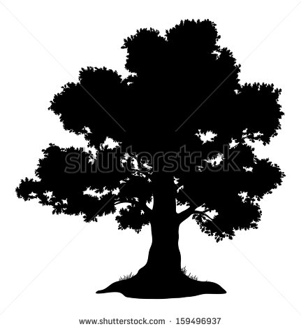 White Oak Tree Silhouette