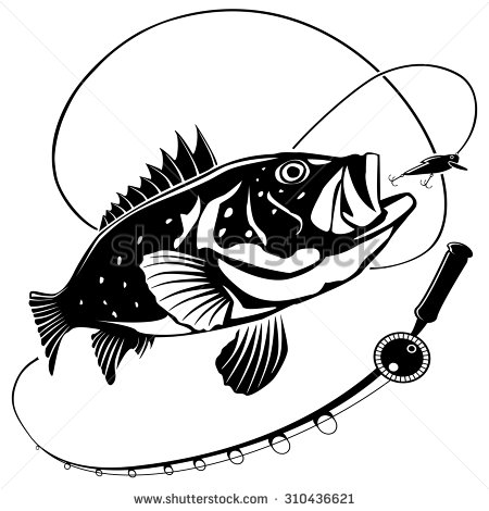 Bass Fishing Vector