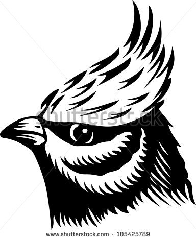 Bird Head Drawing
