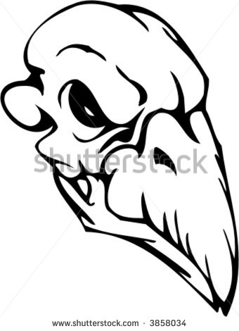 10 Bird Skull Vector Images