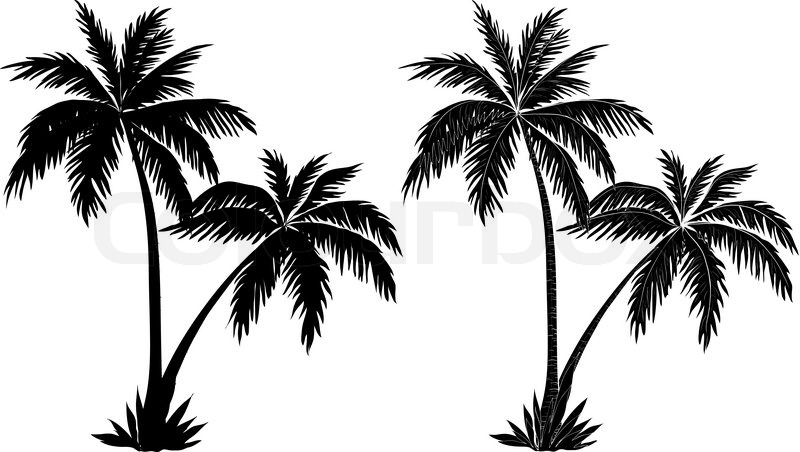 Black and White Palm Tree Silhouette