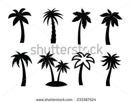 Black and White Palm Tree Vector