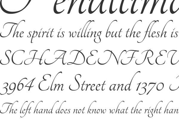 Calligraphy Fonts Free Download