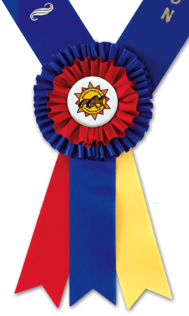 Custom Award Ribbons