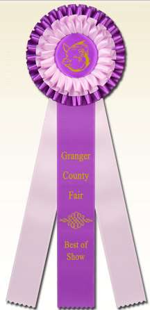 Custom Rosette Award Ribbons