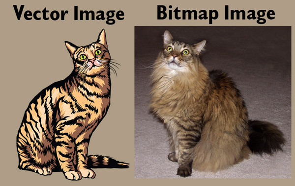 Difference Between Bitmap and Vector Graphics