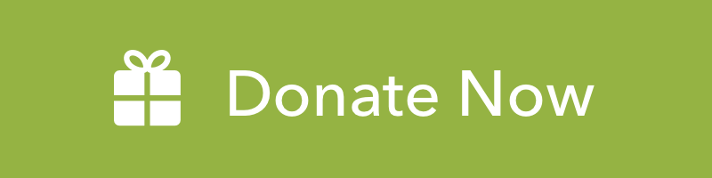DonateNow Button DonateNow Button