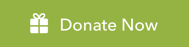 DonateNow Button