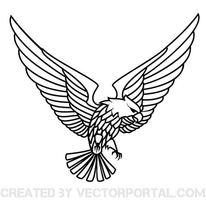 Eagle Wing Vector Graphics