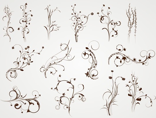 Elegant Floral Vector Patterns