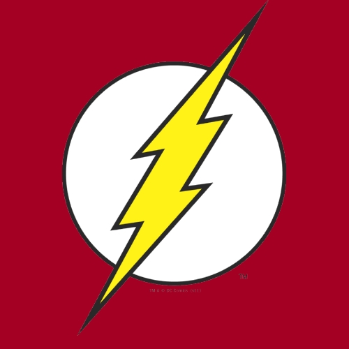 Flash Logo