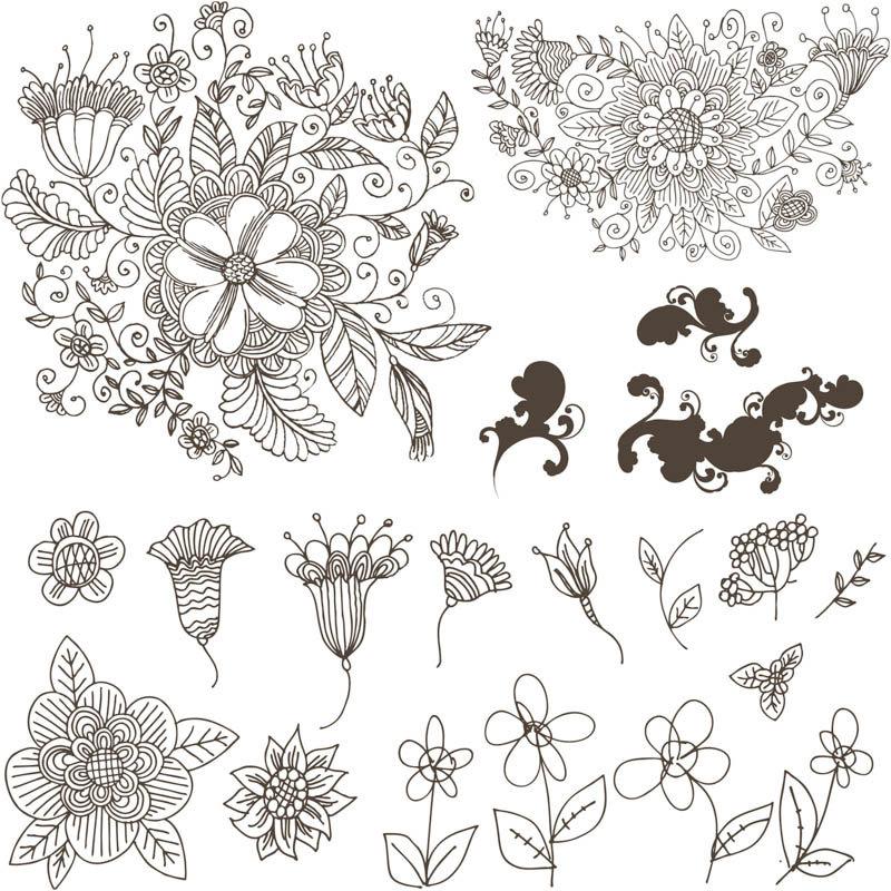 Flower Line Drawing Pattern