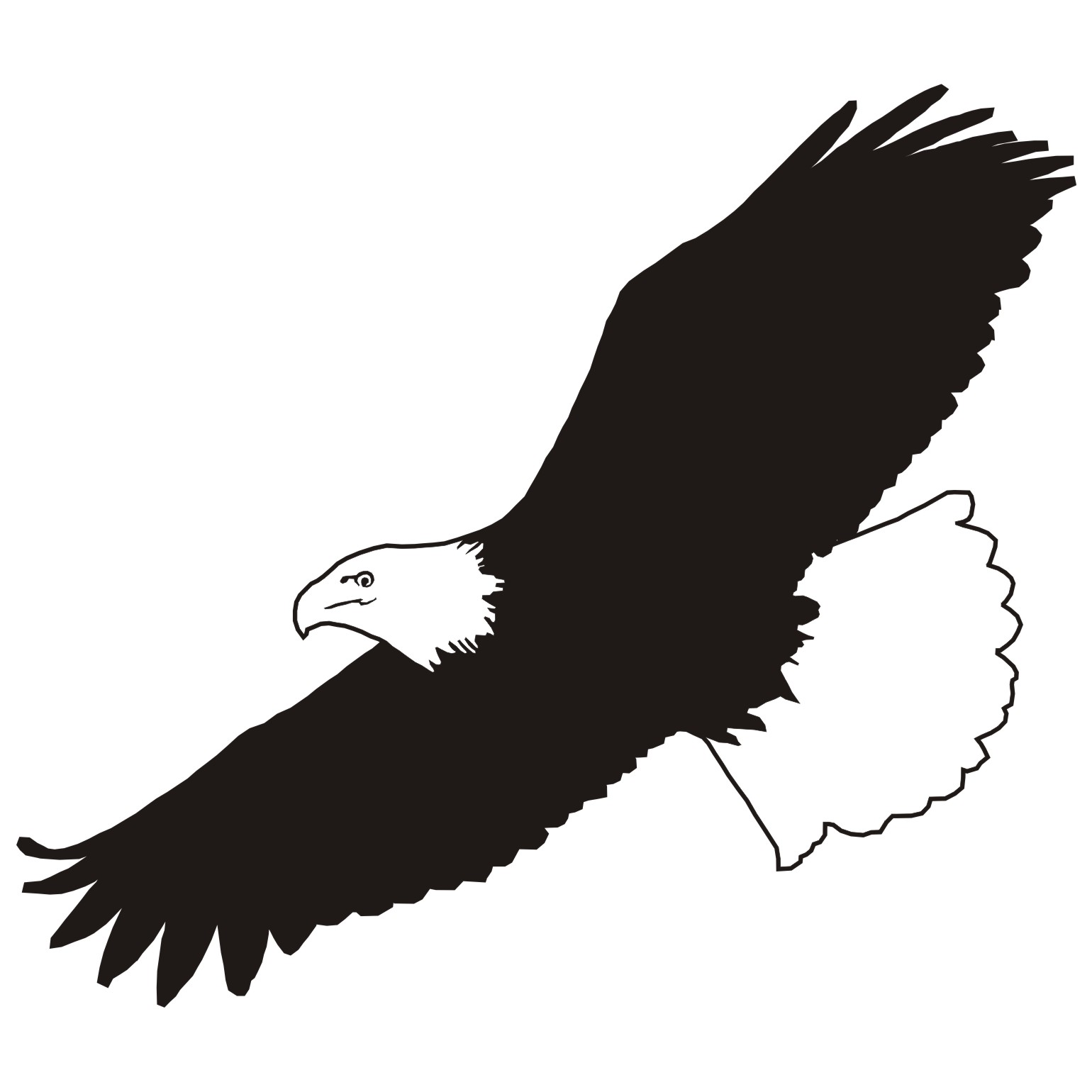 Flying Eagle Vector