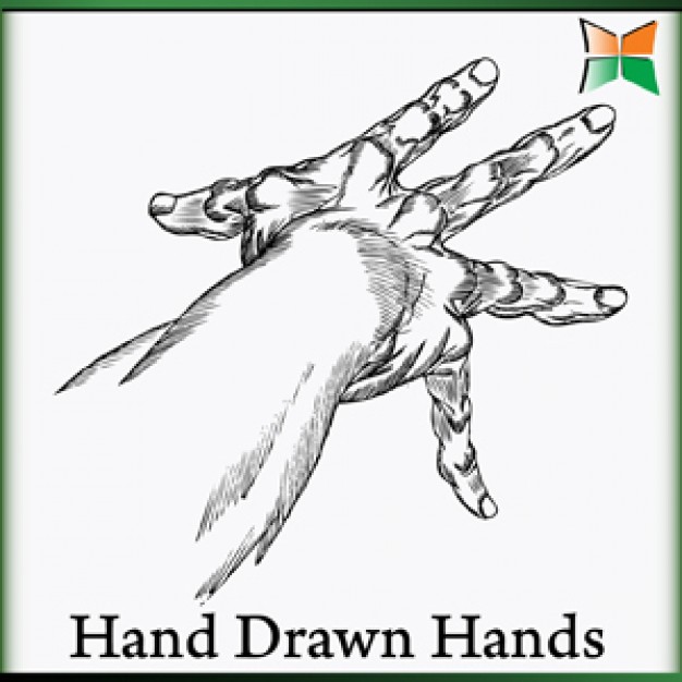 Free Hand Drawn Vectors