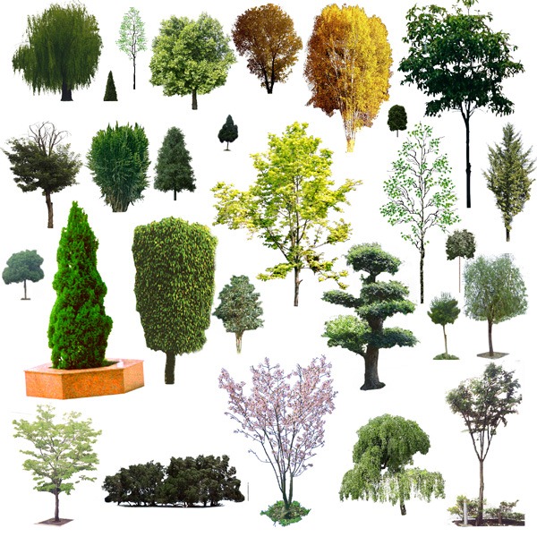 Free Photoshop Trees