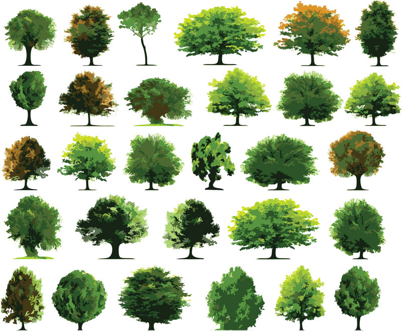 Free Tree Vector Photoshop