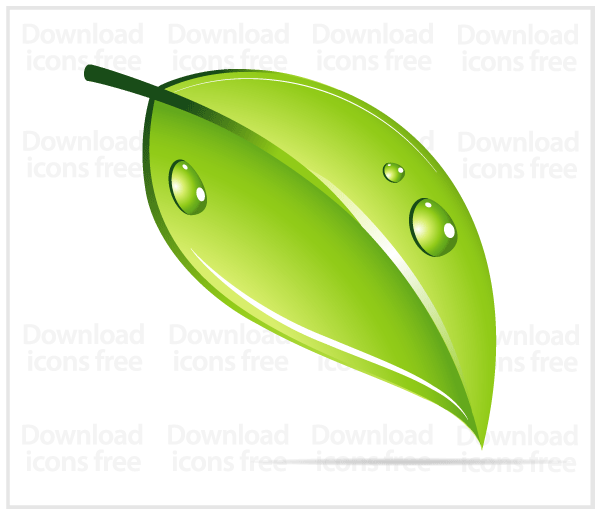 Free Vector Water Drop with Leaf