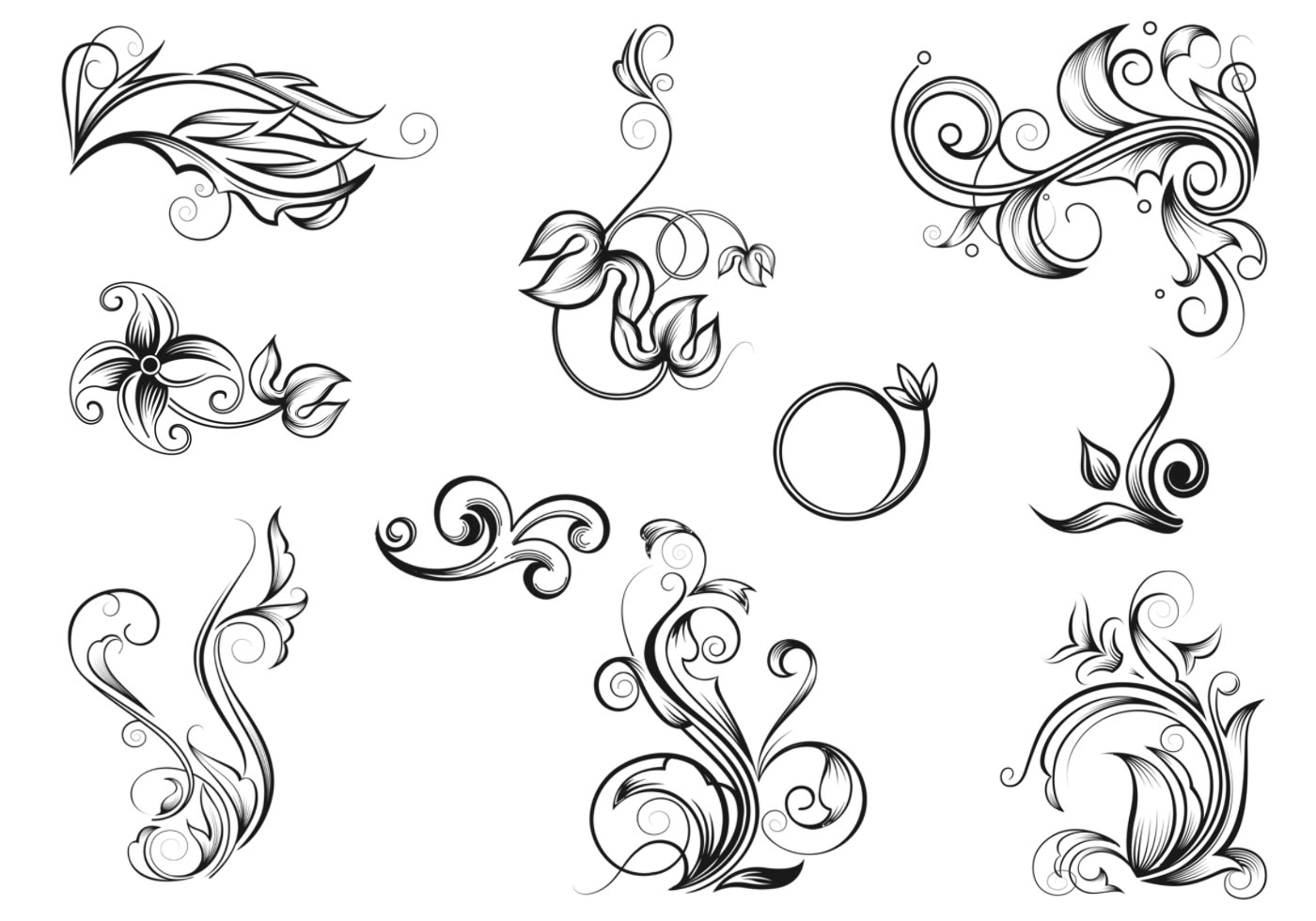 Hand Drawn Flourish Vector Free