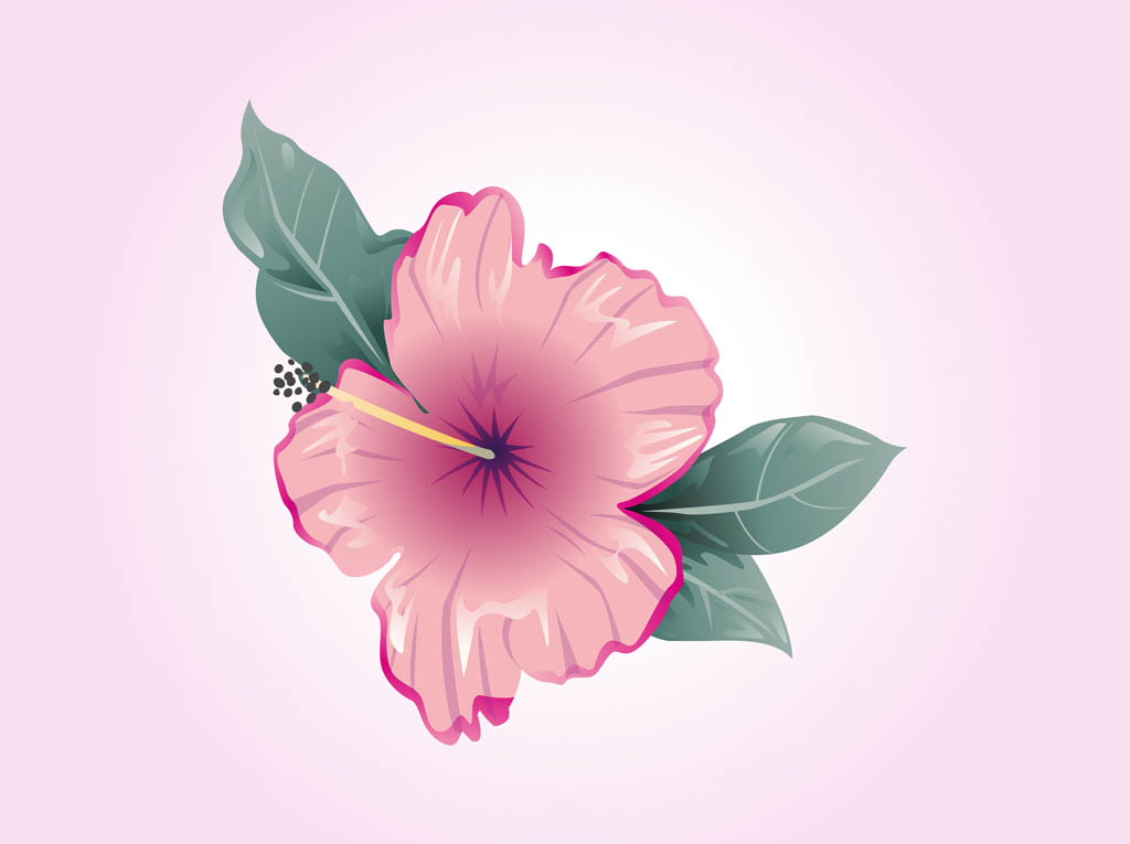 Hibiscus Flower Silhouette Vector