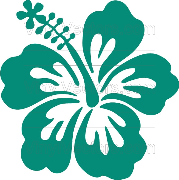 Hibiscus Flower Vector Graphic Hibiscus Flower Vector Graphic