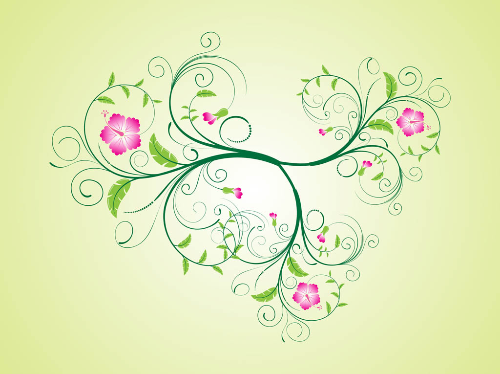 Hibiscus Flower Vector