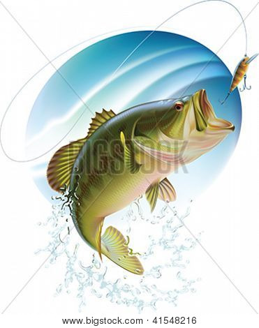 Largemouth Bass Jumping