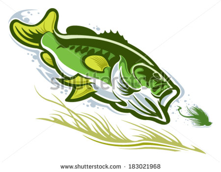 Largemouth Bass Vector