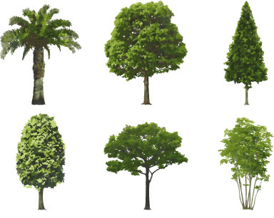 Photoshop Trees Free Download