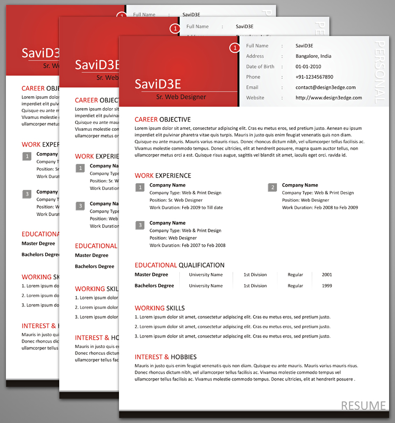 Professional Resume Design